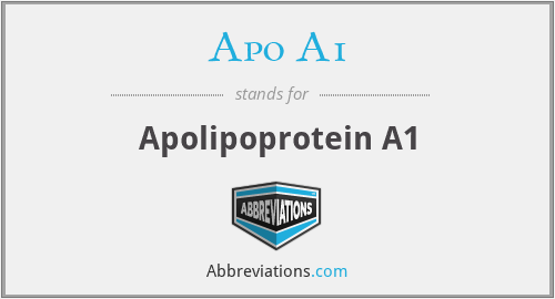 Apo A1 - Apolipoprotein A1